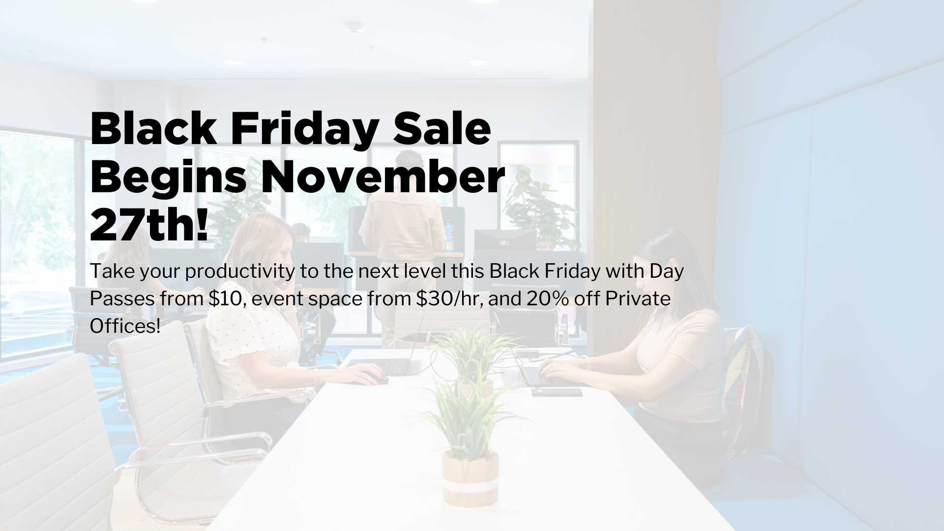 Black Friday Sale!