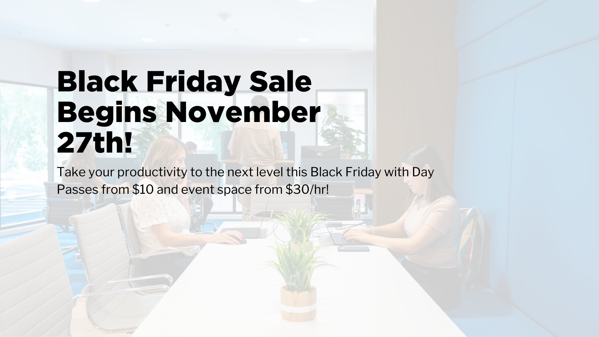 Black Friday Sale!